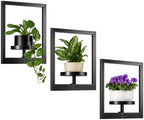Heavy-Duty Wall Planters for Indoor Plants, Modern Metal Hanging Plant Holders, Picture Frame Wall Plant Shelves for Living Room, Balcony, Patio, Window Garden Décor, 3-Pack by Wacloud