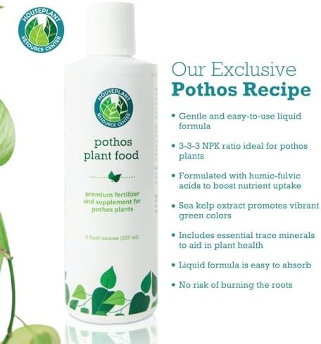 Pothos Prop and Grow Bundle - Image 3