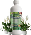 GARDENERA Premium Organic Seaweed & Kelp Superfood for Peace Lily Plants - 32 oz - Liquid Kelp Fertilizer Concentrate (Makes 180 Gallons) by Gardenera