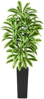 Artificial Yellow Dracaena Tree Indoor, 7FT Tall Fake Floor Plants with Black Planter & Pebbles, Faux Silk Yucca Tree for Home Office Living Room Bedroom Farmhouse Modern Outdoor Topiary Tree by TXABL