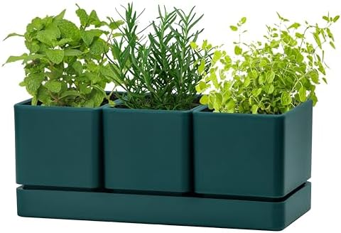 D'vine Dev Plastic Herb Garden Planter Set, Green, 76-V-C-1 by DvineDevPlanterPotsandStand
