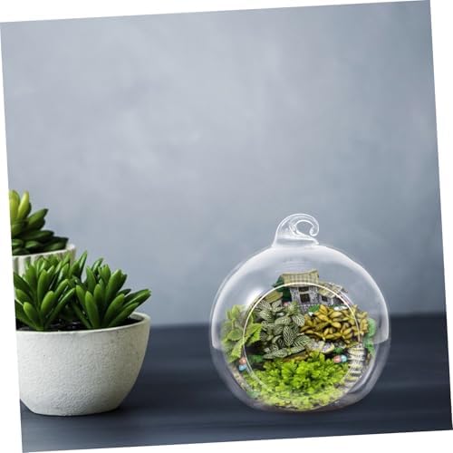 12pcs Glass Globe Terrarium Hanging Planter for Moss Crafts Home - Image 6