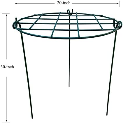 10 Pack 20 x 30 inch Poeny Cage Grow Through Grid Plant Brace Flower Support Rings,Round Metal Plant Stakes Rings, Strong Large Garden Supports for Flowers, Peonies, Rose, Lily - Image 2