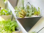 LaLaGreen Bundle- 10 Pack, 4 Inch Black Metal Pot + 4 Pack, 12 Inch Self Watering Pot Geometric Hanging Vertical Wall Mounted Flower Vase Balcony Porch Home Decor Succulent Herbs Plant Holder Garden - Image 6