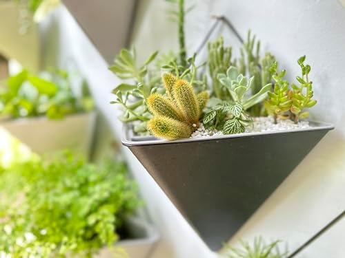 LaLaGreen Bundle- 4 Pack, 12 Inch Self Watering Geomeric Pot + 2 Pack, 20 Inch Brown Rectangular Wall Planter Vertical Window Plant Pot Indoor Garden Modern Stylish Hanging Flower Vase Vessel Decor - Image 6