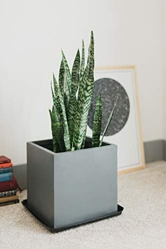 Curtis Wagner Plastics Designer Series Plant Saucer (5-Pack) - Black, Square (Diameter: 13.75" Base, 16" Top, 1.62" Depth) Thick Plastic Plant Drip Trays - Used as Indoor Pot/Outdoor Plant Saucers - Image 7