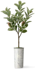 Artificial Tree in Geometric Pattern Planter, Fake Rubber Silk Tree for Indoor and Outdoor Home Decoration - 70" Overall Tall (Plant Pot Plus Tree) - Image 2