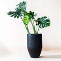 FAB HAB Glade Handmade Tall Metal Planters in Matte Black - Large, Indoor/Outdoor, Lightweight with Drainage Holes by FabHabitat