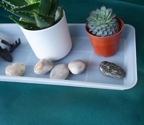 VUWEZ 2 Pack of Plastic Plant Tray Saucer Rectangular 24 inch, Plant Trays Saucers for Indoors Outdoor, Plant Water Drip Tray for Flower Pot Planter, Windowsill Plant Tray (8 X 24'', Clear) - Image 3