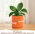 D'vine Dev Double-Layer Self-Draining Planter Set – Rotating Plastic Outer Pot with Clear Inner Liner for Root Health, Perfect for Indoor Plants, 6.5", Set of 2, Pumpkin, 73-V-E-2 - Image 5