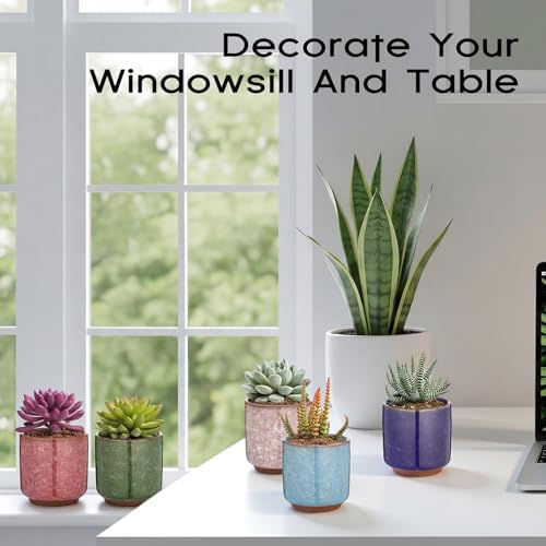 12 Pack Small Ceramic Succulent Pots with Drainage Hole - Image 6