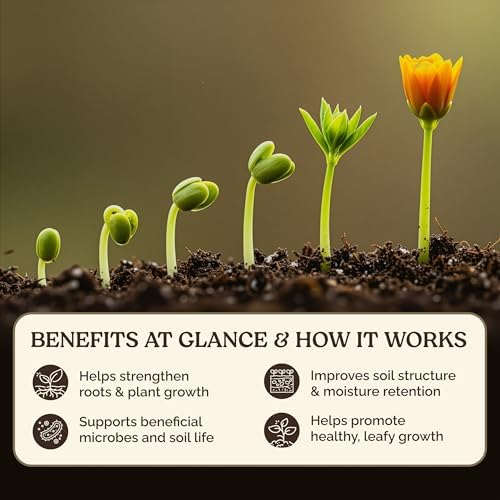 Organic Potting Soil Supplement Mix for Plants, 10 lb - Image 3