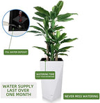 Dexceder 24 Inches Self Watering Tall Planter (White) - Image 5