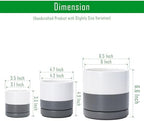 D'vine Dev 3-Pack Ceramic Pots with Saucers, 3/4/6 in, White/Grey, 94-T-S-6 - Image 2