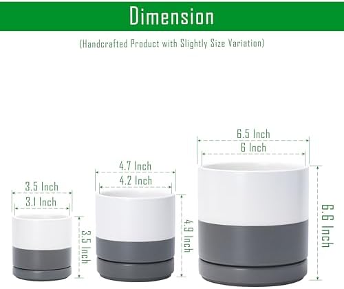 D'vine Dev 3-Pack Ceramic Pots with Saucers, 3/4/6 in, White/Grey, 94-T-S-6 - Image 2