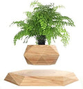 Levitating Plant Pot Hexagon Floating Air Bonsai Pot Suspension Flowerpot Planter for Office Home Decoration by KIYOMING