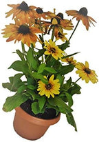 Set of 6 TC with Saucer Qty 2 7 inch, Qty 2 9 inch, Qty 2 11 inch Copy Copy - Image 3