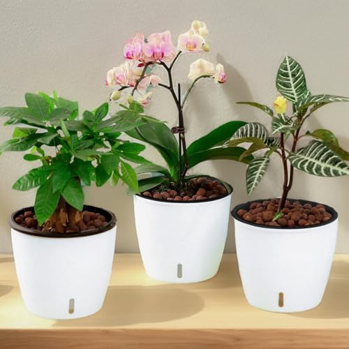 Planterhoma 5 Inch Self Watering Pots for Indoor Plants, 12 Packs African Violet Pots with Indicator, Black Wick Pot with Drainage Holes, Self Watering Planters for Orchid, Devil's Ivy, White - Image 6