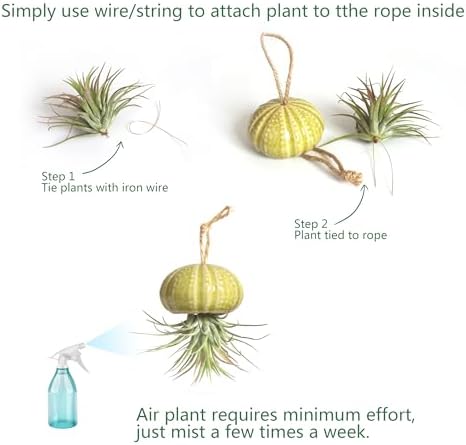6 Ceramic Air Plant Holders & 2 Iron Racks, Hanging Tillandsia Pots - Image 7