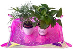 2 Pcs Planting Mat 68x50cm Holographic Gardening for Garden by Unknown