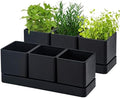 D'vine Dev 2-Pack Plastic Herb Garden Planter Set, Black, 76-V-B-2 by DvineDevPlanterPotsandStand