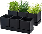 D'vine Dev 2-Pack Plastic Herb Garden Planter Set, Black, 76-V-B-2 by DvineDevPlanterPotsandStand