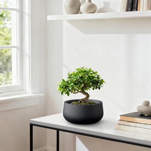 Kante Accent Round Bowl Black Concrete Planter 16" Dia, Outdoor - Image 4