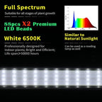 Standing LED Grow Light，Adjustable Dual Head T12 Bar Plant Light, White 6500K Full Spectrum Plant Grow Lamp on Stand for Indoor Plants Seed Starting, Seedlings, Veg, Flower - Image 2