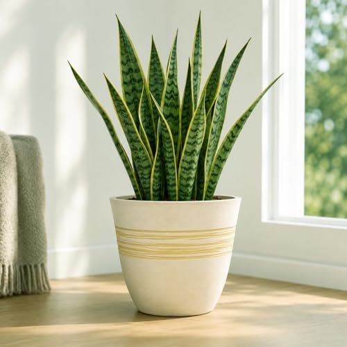 GreenShip 12 Inch Planters for Indoor Outdoor Set of 2 with Drainage Hole - Image 4