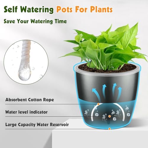 Self Watering Pots for Indoor Plants, 6-Pack 6.7'' Self Watering Planter with Drainage Holes, Small African Violet Pots with Water Indicator, Clear Wick Orchid Pot, Grey Gold - Image 4