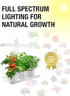 TORCHSTAR Indoor Herb Garden with LED Grow Light, Height Adjustable, CRI 95 - Image 3