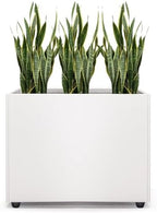 Planter Box Rectangular Block - 16×12×12IN Galvanized Steel Metal Long Box Planter Easy Installation Modern Outdoor Tall Planters All-Weather Use with Drainage Holes for Patio/Porch(White) by Zezgeuro