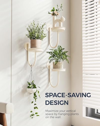 Bamworld Wall Plant Holder for Hanging Planters, White, 3pcs - Image 2
