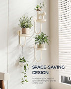 Bamworld Wall Plant Holder for Hanging Planters, White, 3pcs - Image 2