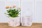 Wooden Planter Box, Rustic Whitewash with Plastic Liner l Garden Decor l Restaurant and Wedding Decorations l Wedding Bouquets, Table Centerpiece (5x5 Set of 4, Whitewash) - Image 4