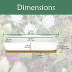 yeyo Elegant Ceramic Succulent Pots - 1 Pot - Long Rectangle - with Bamboo Tray - White - 11 for Balcony - Image 3