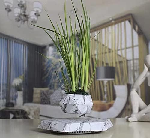 Floating Plant Pot Planter Suspension Air Bonsai Pot Flower Pot Levitating Plant Pot for Home Office - Image 5