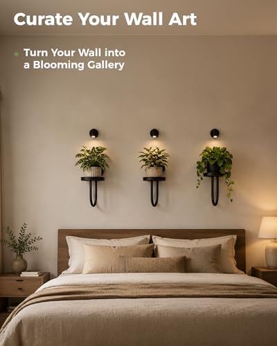 Bamworld Wall Plant Holder with Lights, Black, 3pcs - Image 4