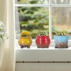 ARTKETTY Succulent Pots, Small Plant Pots with Drainage Set of 6 - Image 3