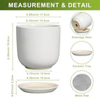 Ceramic Pot for Plants 7 Inch - Modern Round Indoor Outdoor Planter with Drainage Hole and Saucer, Home House Office Room Decor, White - Image 3