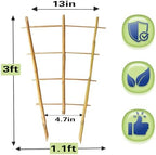 Bamboo Trellis 10 Pack, 36 Inches/3FT S3 Natural Bamboo Plant Fan Stakes, Fan-Shaped Plant Support Stand for Orchid Vines, Monarchs, Ivy and Other Plants Climbing, Help Plant Growth - Image 2