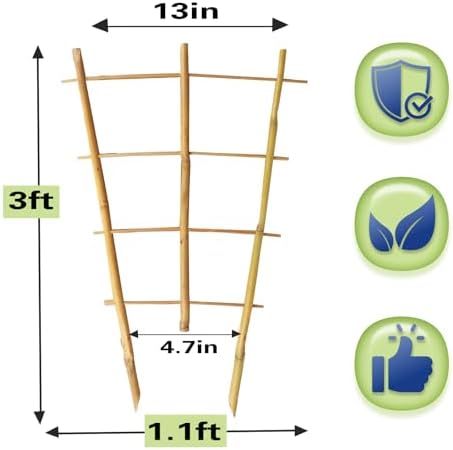 Bamboo Trellis 10 Pack, 36 Inches/3FT S3 Natural Bamboo Plant Fan Stakes, Fan-Shaped Plant Support Stand for Orchid Vines, Monarchs, Ivy and Other Plants Climbing, Help Plant Growth - Image 2