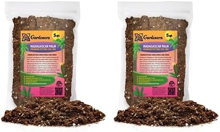 GARDENERA Madagascar Palm Plant Potting Soil - Experience Unique Form and Vibrant Growth with Professional Grade Mix - 10 Quart by Gardenera