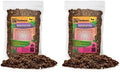 GARDENERA Madagascar Palm Plant Potting Soil - Experience Unique Form and Vibrant Growth with Professional Grade Mix - 10 Quart by Gardenera