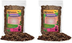 GARDENERA Madagascar Palm Plant Potting Soil - Experience Unique Form and Vibrant Growth with Professional Grade Mix - 10 Quart by Gardenera