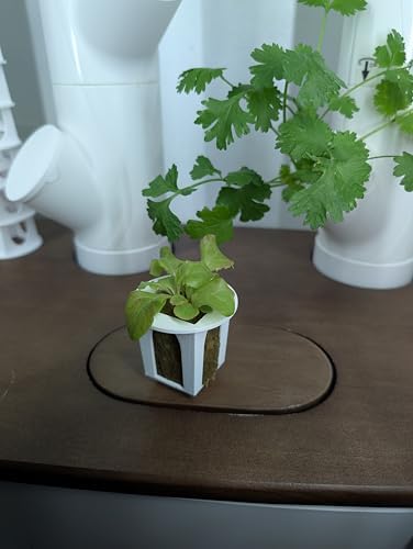 Grow Cubes for Hydroponic System/Compatible with Gardyn (10 Grow Cubes) - Image 6