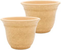 The HC Companies Sierra Round Self-Watering Pot - Lightweight Plastic Planter for Herbs & More - Durable Plant Pots for Indoor Plants & Outdoor Plants (13” Arizona Sand, Pack of 2) by TheHCCompanies