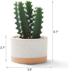 Artificial Succulent Plants in Ceramic Pots Set of 3 - Image 4
