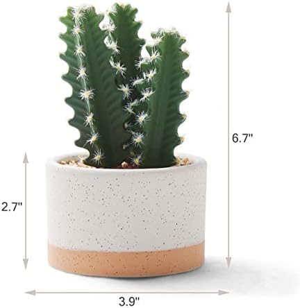 Artificial Succulent Plants in Ceramic Pots Set of 3 - Image 4