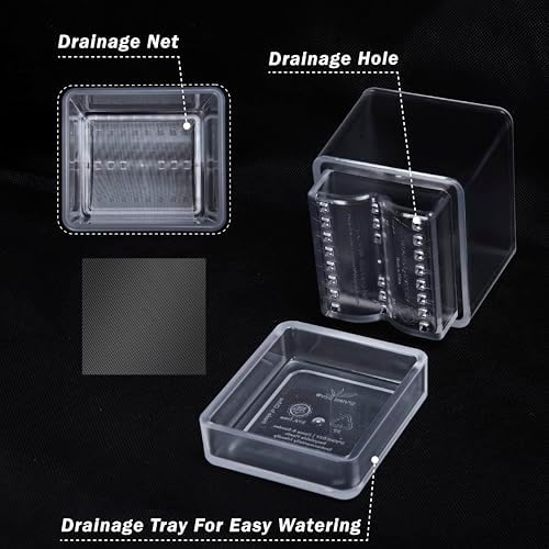 D'vine Dev 6-Pack Acrylic Herb Planter Pots, 4 in, Clear, 76-Y-D-1 - Image 3